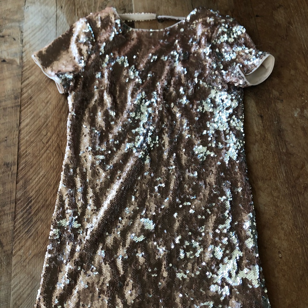 Sparkly reverse sequin dress (rose gold)